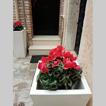 Ca Cici Loft Venezia